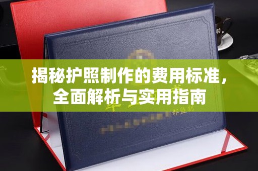 洛阳揭秘护照制作的费用标准，全面解析与实用指南