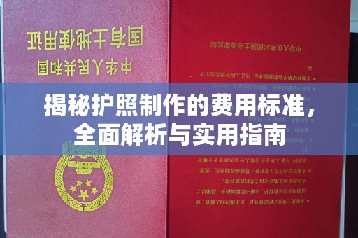 洛阳揭秘护照制作的费用标准，全面解析与实用指南