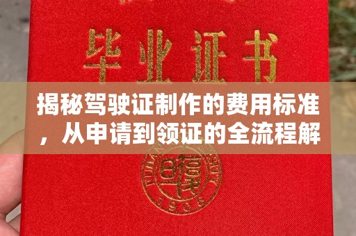 洛阳揭秘驾驶证制作的费用标准，从申请到领证的全流程解析