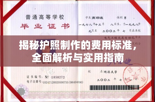 洛阳揭秘护照制作的费用标准，全面解析与实用指南