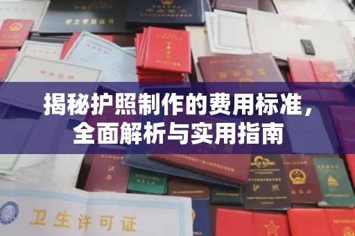 洛阳揭秘护照制作的费用标准，全面解析与实用指南
